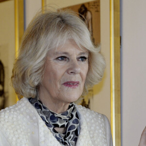 Camilla Parker Bowles, duchesse de Cornouailles, a visité le centre de traitement du cancer Maggie à Newcastle. Depuis 2008, la duchesse est présidente de cette association caritative, qui compte plus de 18 centres au Royaume-Uni. Le 28 janvier 2015