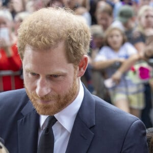 Le prince Harry, duc de Sussex, Meghan Markle, duchesse de Sussex 