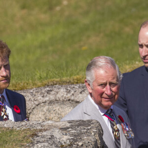 Le prince Charles, prince de Galles, le prince William, duc de Cambridge et le prince Harry visitent les tranchées de Vimy lors des commémorations des 100 ans de la bataille de Vimy, (100 ans jour pour jour, le 9 avril 1917) dans laquelle de nombreux Canadiens ont trouvé la mort lors de la Première Guerre mondiale, au Mémorial national du Canada, à Vimy, France, le 9 avril 2017. 