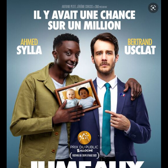 Affiche du film "Jumeaux mais pas trop"