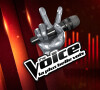 "The Voice", le logo.