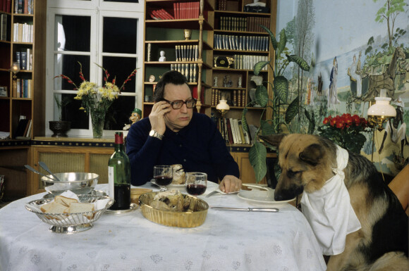 Exclusif - Archives - Raymond DEVOS reconnaît le droit de convive privilégié à son fidèle compagnon de vie, son chien. 1981 © Collection personnelle via Bestimage 