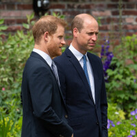 "Il est consterné par son comportement" : le prince William très déçu par Harry, il ne lui fera aucun cadeau
