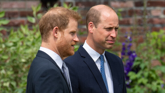 "Il est consterné par son comportement" : le prince William très déçu par Harry, il ne lui fera aucun cadeau