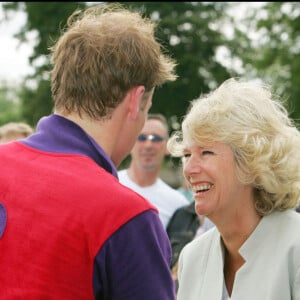 Camilla Parker-Bowles remet un lot de consolation au prince William