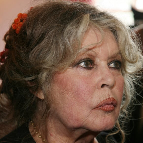 Brigitte Bardot célébre les 20 ans de sa fondation pour les animaux le 28 septembre 2006 au théatre Marigny 