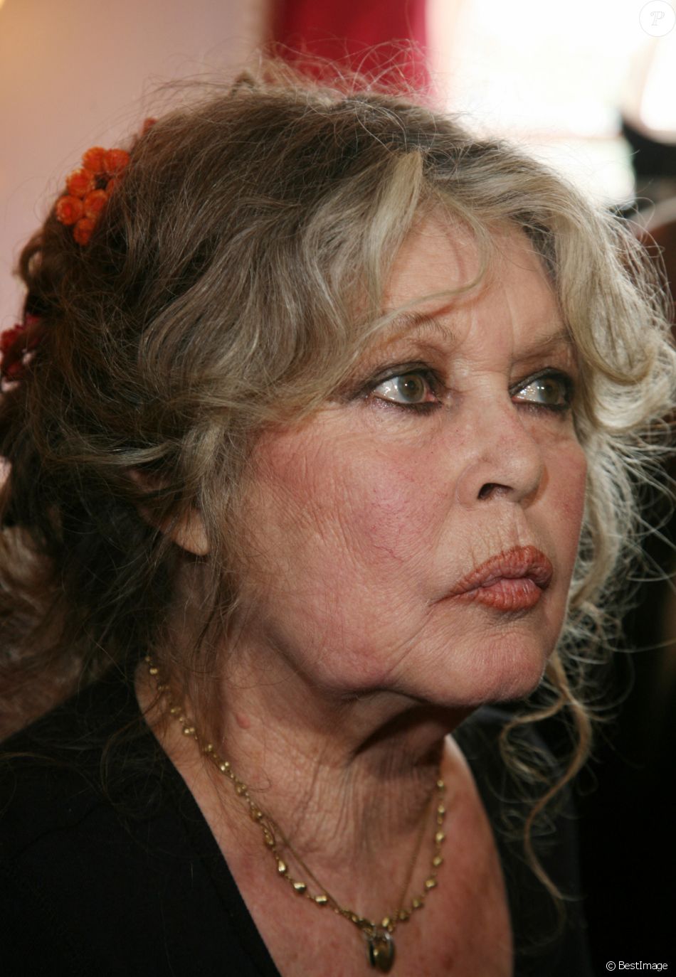 Brigitte Bardot Célébre Les 20 Ans De Sa Fondation Pour Les Animaux Le ...