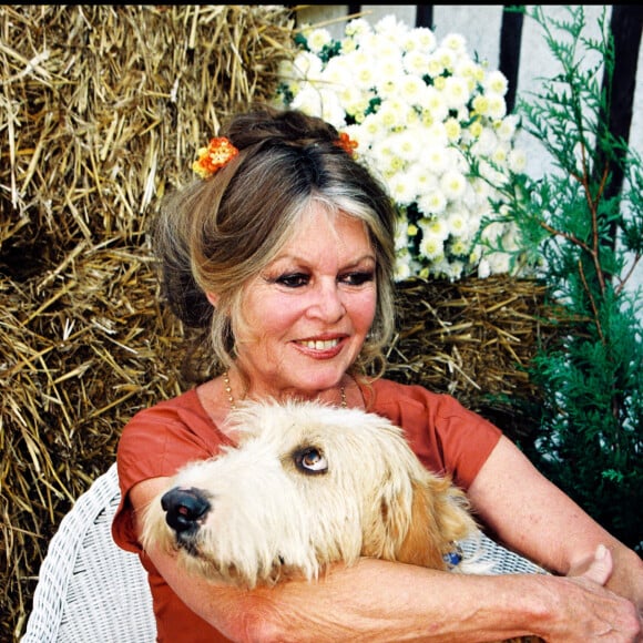 Brigitte Bardot participe à la journée d'adoption organisée par un refuge.