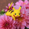 Votre fan de Pokémon va être ravi de recevoir ces produits à Noël