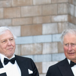 Le prince William, duc de Cambridge, Sir David Attenborough, le prince Charles, prince de Galles, le prince Harry, duc de Sussex lors de la première mondiale de la série Netflix "Our Planet" au Musée d'histoire naturelle de Londres le 4 avril 2019.  London, UNITED KINGDOM - The World Premiere of the Netflix Television Series 'Our Planet' held at the Natural History Museum in London on april 4th 2019 