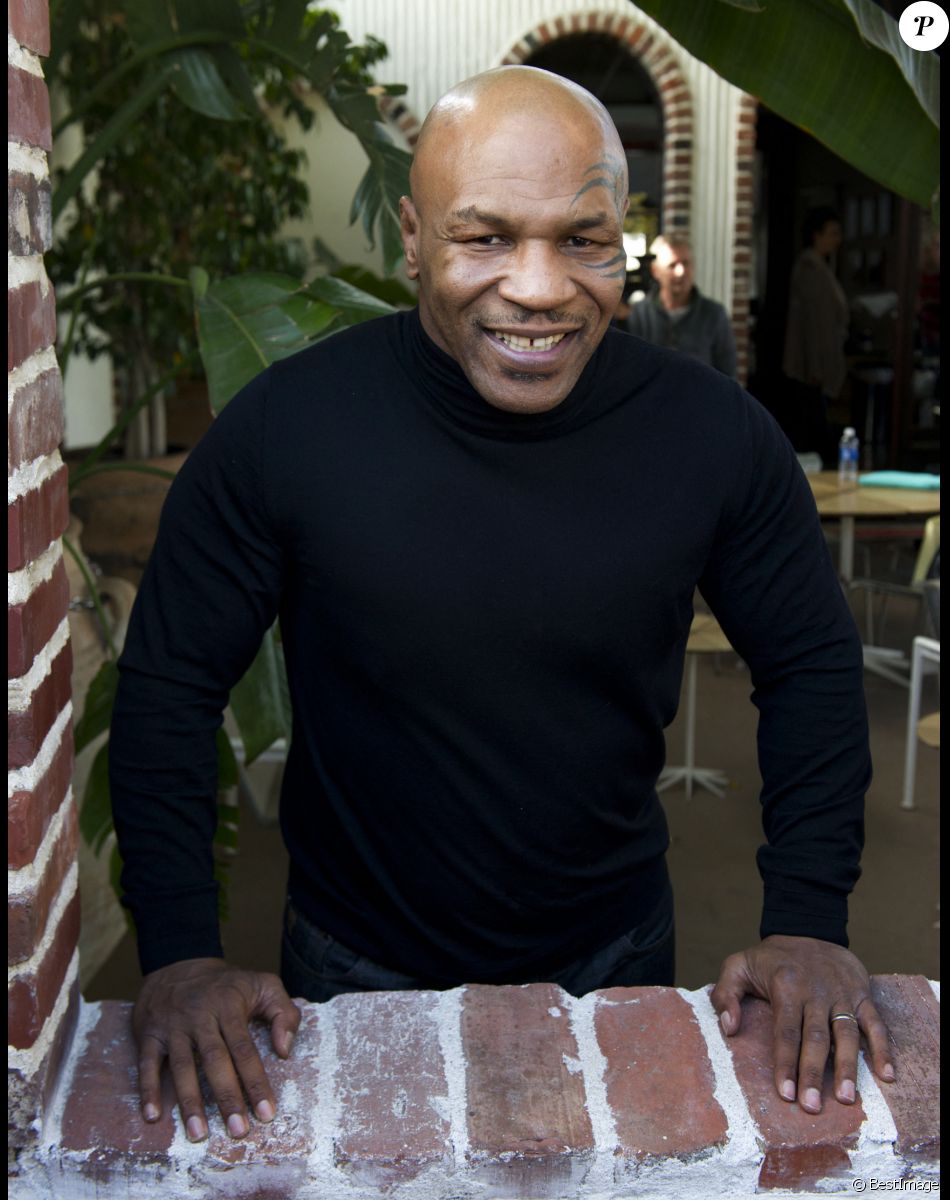 Info - Mike Tyson visé par une nouvelle plainte pour viol - Info - Mike Tyson remonte sur le ring à 54 ans pour un combat exhibition - Mike Tyson pose lors de sa conference de presse pour la sortie de son autobiographie « Mike Tyson : la verite rien d’autre » a Los Angeles, le 26 novembre 2013.