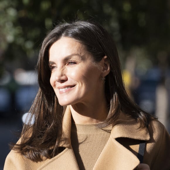 La reine Letizia assiste à une réunion à la FEDER (Fédération espagnole des maladies rares) à Madrid, Espagne, le 17 janvier 2023. 