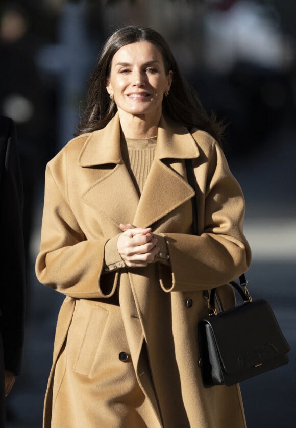 La reine Letizia assiste à une réunion à la FEDER (Fédération espagnole des maladies rares) à Madrid, Espagne, le 17 janvier 2023. 