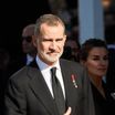 Felipe VI, roi sexy ? Ce détail physique du mari de Letizia qui a tout changé