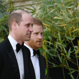 Le prince William, duc de Cambridge, le prince Harry, duc de Sussex, à la première de la série Netflix "Our Planet" au Musée d'Histoires Naturelles à Londres, le 4 avril 2019. 