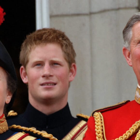 "Je ne recherche pas et je n'ai jamais recherché la compassion."
Archives - Le prince Charles, devenu roi Charles III d'Angleterre, la princesse Anne et le prince Harry.