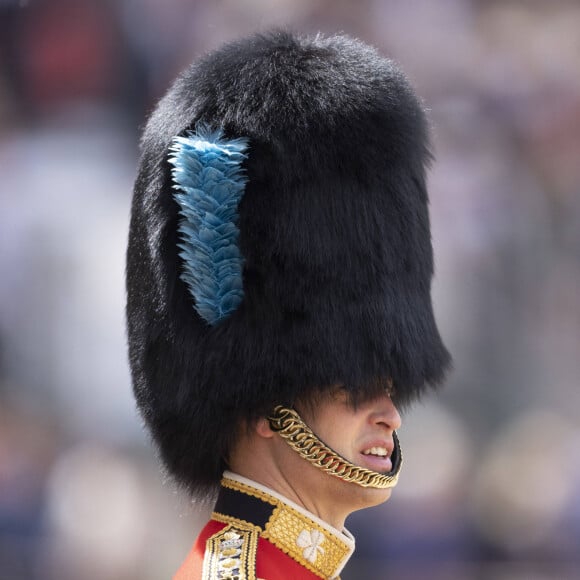 Si le bleu de sa tenue a étonné, c'était pour rappeler la tenue des Irish Guards et leur coiffe. 
Le prince William, duc de Cambridge, supervise la parade des Horse Guards lors de la répétition avant le jubilé de platine de la reine d'Angleterre à Londres, Royaume Uni le 28 mai 2022. 