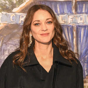 Marion Cotillard a vécu une histoire avec le chanteur Sinclair.
Marion Cotillard à l'avant-première du film "Asterix et Obelix: L'Empire du Milieu" au cinéma Pathé La Joliette à Marseille, France. © Jean-René Santini/Bestimage