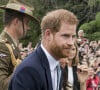 La nouvelle tant attendue est tombée officiellement mercredi 12 avril 2023.
Le prince Harry, duc de Sussex, et Meghan Markle, enceinte, duchesse de Sussex, vont à la rencontre de la foule venue les accueillir, lors de la visite des jardins botaniques de Melbourne, le 18 octobre 2018. 