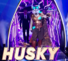 Le husky, "Mask Singer".