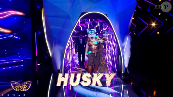 Le husky, "Mask Singer".