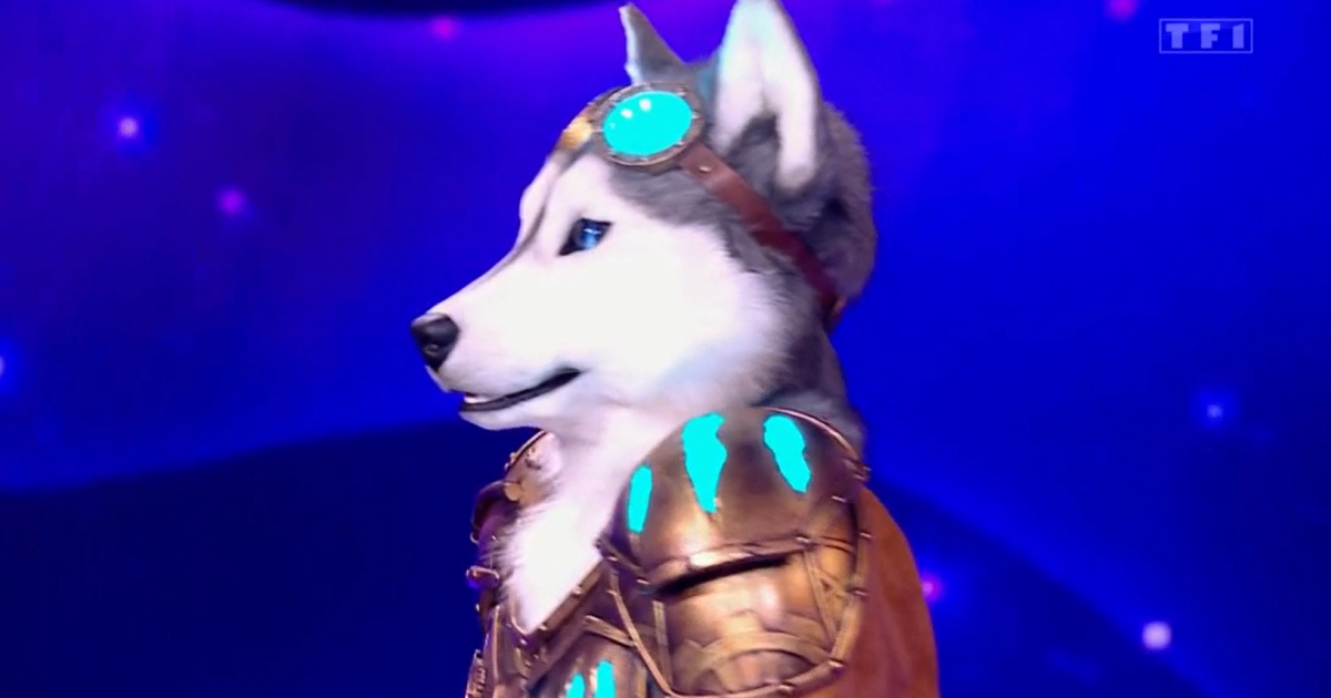 Mask Singer 5 Le Husky Démasqué Et Grand Gagnant De Cette Saison Jeff Panacloc Très Touché