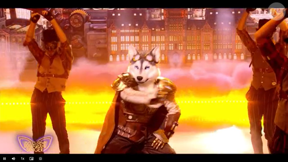 Le husky, "Mask Singer".