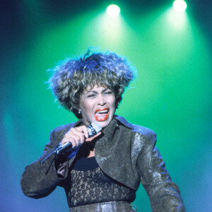 Tina Turner 1991