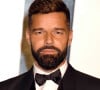Les tourtereaux s'étaient dits "oui" en secret il y a 6 ans.
Ricky Martin au photocall de la soirée "Vanity Fair" lors de la 95ème édition de la cérémonie des Oscars à Los Angeles, le 12 mars 2023.