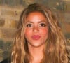 Shakira en couple avec un célèbre basketteur ?
 
Shakira à la Vogue Summer Party.