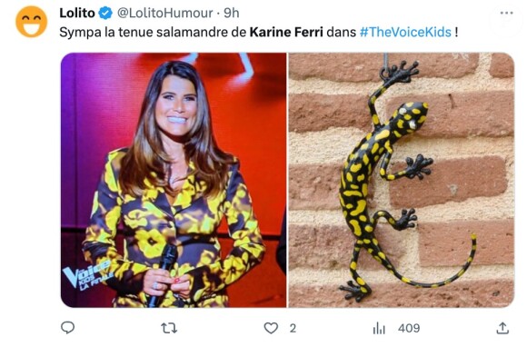 Des Twittos se moquant du look de Karine Ferri !