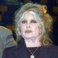 Brigitte Bardot : Une apparition surprise qui rassure, la comédienne photographiée au volant de sa voiture !