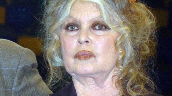 Brigitte Bardot : Une apparition surprise qui rassure, la comédienne photographiée au volant de sa voiture !