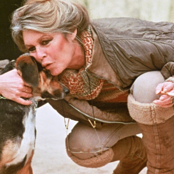 Comme elle en a l'habitude, la comédienne s'est rendue auprès de ses animaux pour souffler ses bougies.
Archives - Brigitte Bardot caresse un chien.