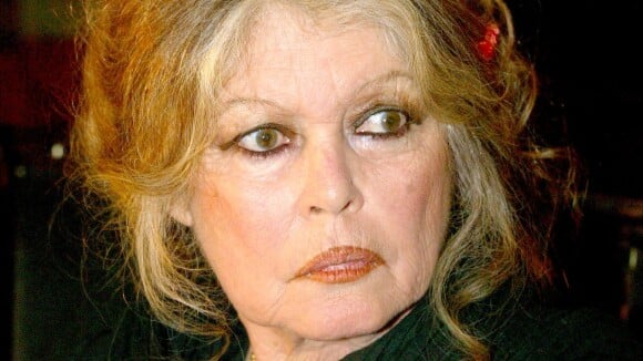 Brigitte Bardot : Une apparition surprise qui rassure, la comédienne photographiée au volant de sa voiture !