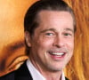 Ils deviennent tout bonnement inséparables... quitte à s'afficher, enfin, ensemble officiellement.
Brad Pitt à la première du film "Babylon" à l'academy Museum of Motion Pictures à Los Angeles, Californie, Etats-Unis. 
