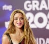 La chanteuse colombienne a fait fort aux Latin Grammy Awards 2023
Shakira lors de la cérémonie des Latin Grammy Awards le 16 novembre 2023, à Séville, en Espagne.