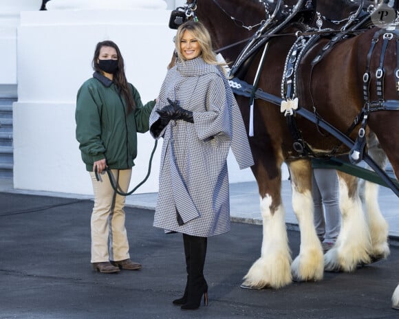 La première Dame Melania Trump reçoit pour la dernière fois le sapin de Noël à la Maison Blanche à Washington, le 23 novembre 2020. Le sapin a été apporté via une calèche, tirée par deux chevaux et livré par Dan et Anne Taylor. La première Dame des Etats-Unis arbore des mèches blondes claires. 