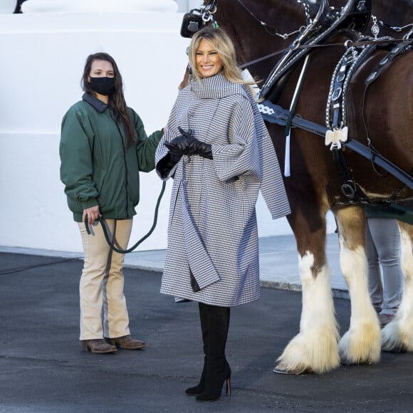 La première Dame Melania Trump reçoit pour la dernière fois le sapin de Noël à la Maison Blanche à Washington, le 23 novembre 2020. Le sapin a été apporté via une calèche, tirée par deux chevaux et livré par Dan et Anne Taylor. La première Dame des Etats-Unis arbore des mèches blondes claires. 
