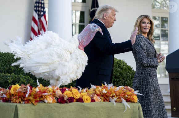Puisqu'elle portait un long manteau gris clair 
Le président des Etats-Unis Donald Trump gracie, en compagnie de la première dame Melania Trump, la dinde "Corn" lors de la traditionnelle grâce présidentielle avant la fête de Thanksgiving à la Maison Blanche à Washington, le 24 novembre 2020. 