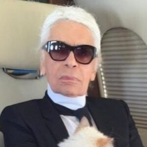 Un jour, le couturier allemand aurait "manqué d'écraser" l'animal blanc, confortablement installé sur un fauteuil de la même couleur que lui.
Karl Lagerfeld et sa chatte, Choupette.