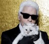Tout comme dans la mode, Karl Lagerfeld aimait la sobriété dans son intérieur. 
Karl Lagerfeld et sa chatte, Choupette.