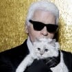 Karl Lagerfeld obligé de changer toute sa déco pour éviter un accident terrible... à cause de sa chatte Choupette !