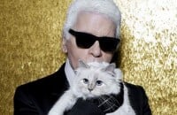 Karl Lagerfeld obligé de changer toute sa déco pour éviter un accident terrible... à cause de sa chatte Choupette !