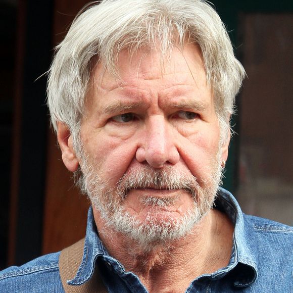 Une grande et belle famille !
Harrison Ford est allé déjeuner au restaurant 'Bar Pitti' dans le quartier de Downtown à New York, le 10 mars 2016