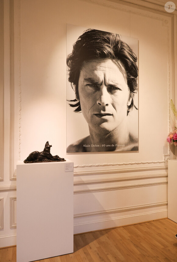 Conférence de presse pour la vente de la collection Alain Delon chez Bonhams Cornette de Saint Cyr à Paris le 19 juin 2023.  © Coadic Guirec/Bestimage 