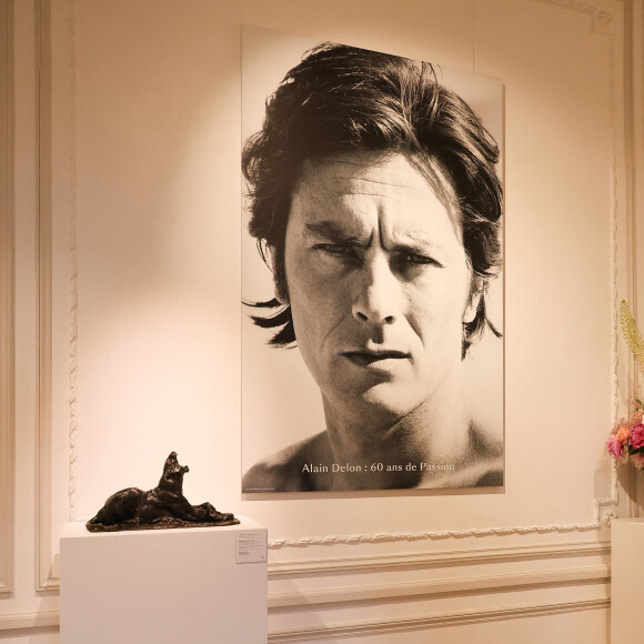 Conférence de presse pour la vente de la collection Alain Delon chez Bonhams Cornette de Saint Cyr à Paris le 19 juin 2023.  © Coadic Guirec/Bestimage 