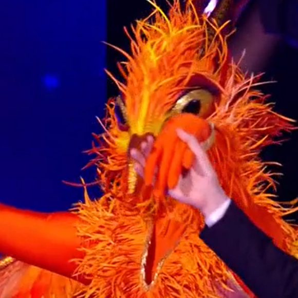 Le phoenix, "Mask Singer".