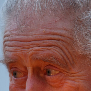 Le roi Charles III d'Angleterre lors d'une réception de célébration de l'artisanat dans les jardins de Highgrove à Tetbury, Royaume Uni, organisée par la Fondation du roi, le 8 décembre 2023. 