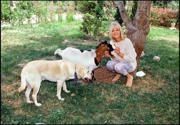 elle a fait de son jardin un éden boisé où elle se détend avec ses animaux
Archive - Amanda Lear dans sa maison de Saint-Rémy-en-Provence